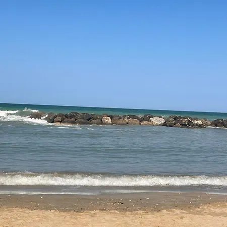 Mariposa San Vincenzo